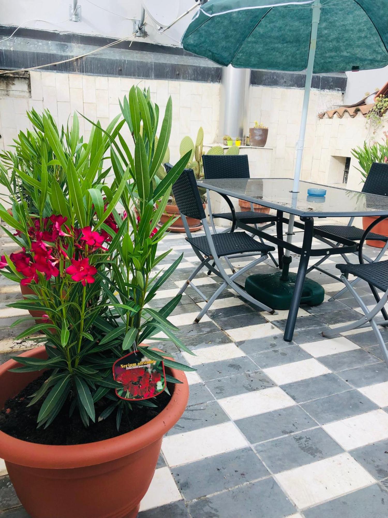 Apartamento La Terrazza Di Aida Verona Exterior foto